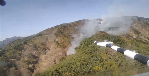 (사진제공=산림청)