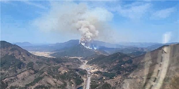 (사진제공=산림청)