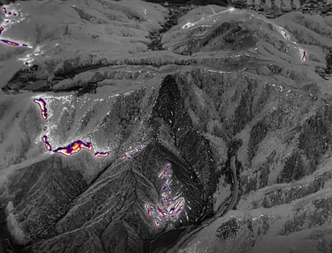 열화상카메라 캡처 사진.(제공=산림청)