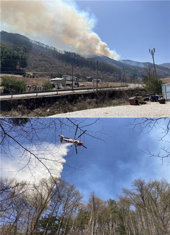 (사진제공=산림청)