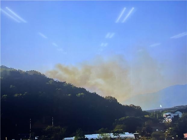 (사진제공=산림청)