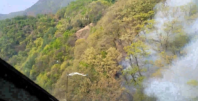 (사진제공=산림청)