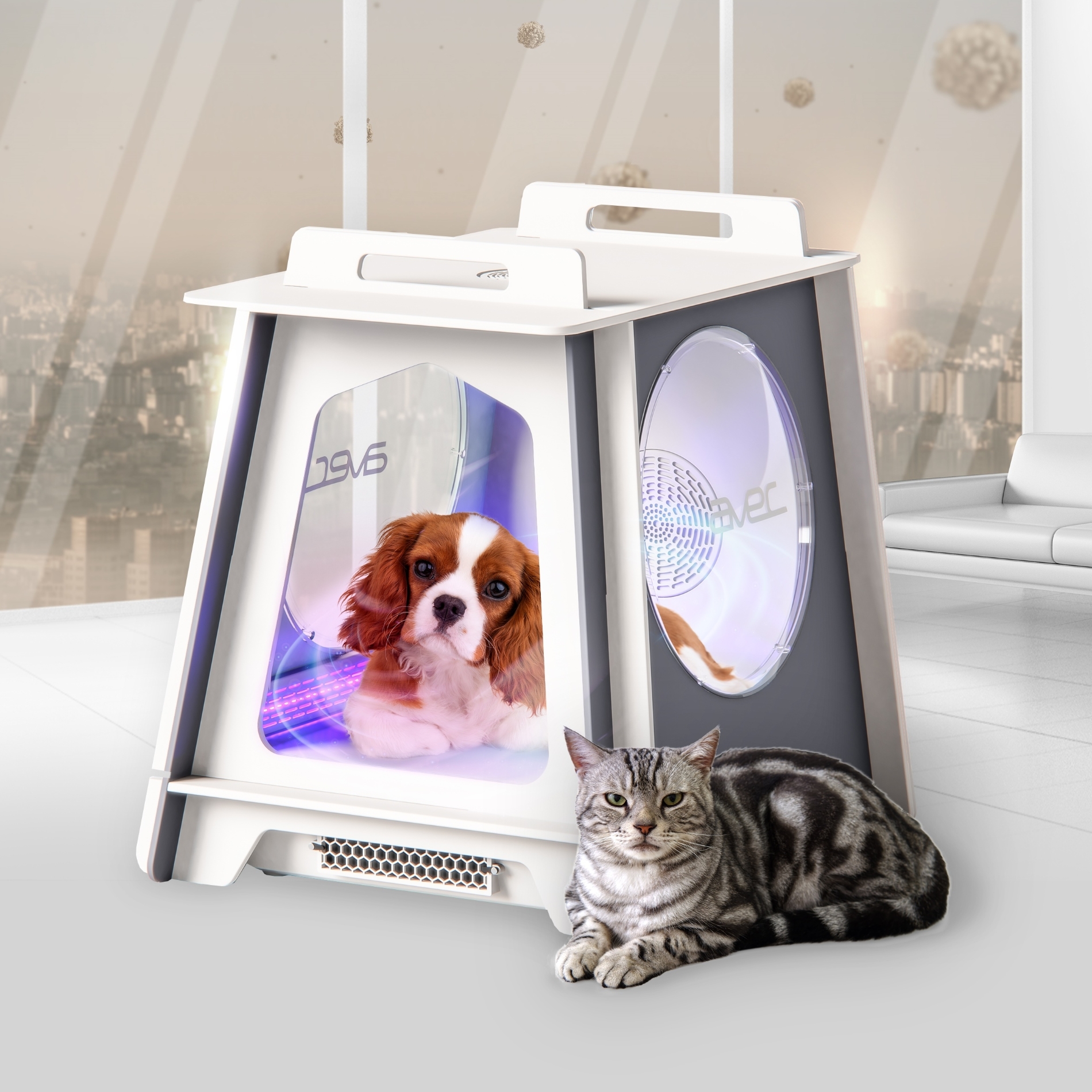 현대렌탈케어, 펫 전용 상품 라인업 확대