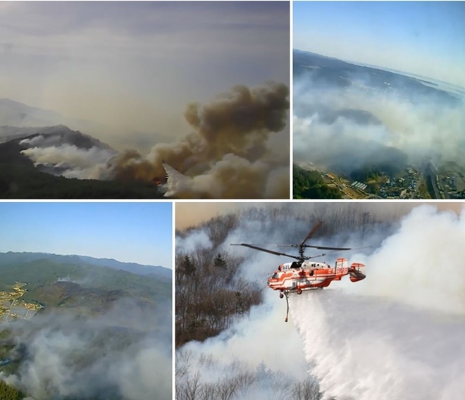 (사진제공=산림청)