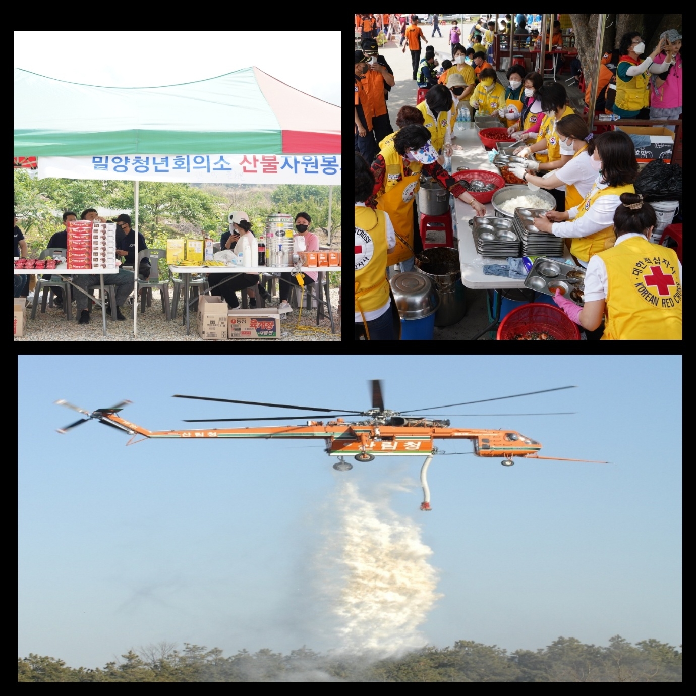 (사진제공=산림청)