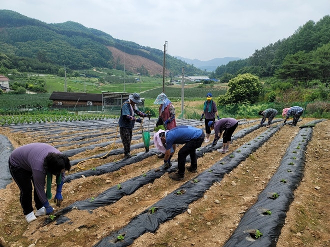(사진제공=청주소년원)