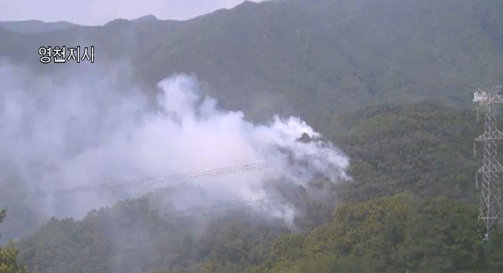 대구 동구 산불현장.(제공=산림청)