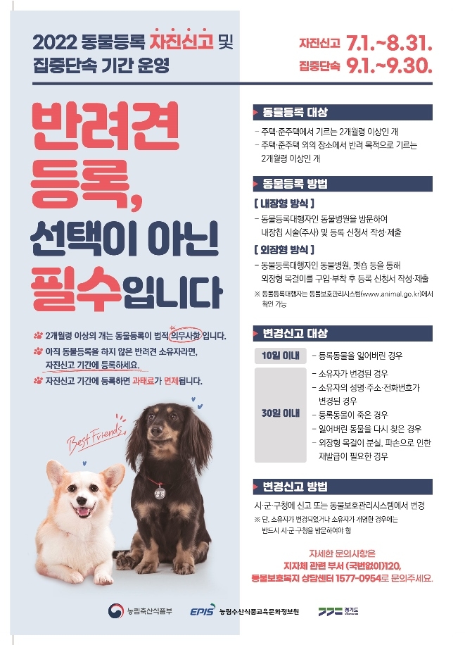 동물등록 자진신고 포스터