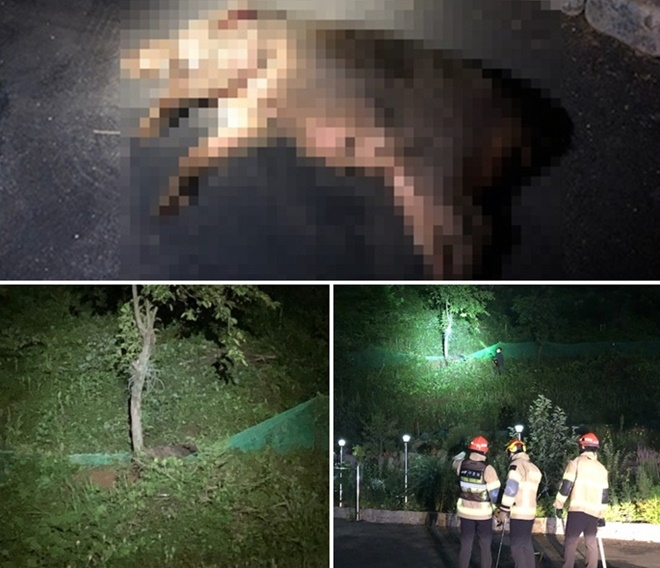 (사진제공=부산경찰청)