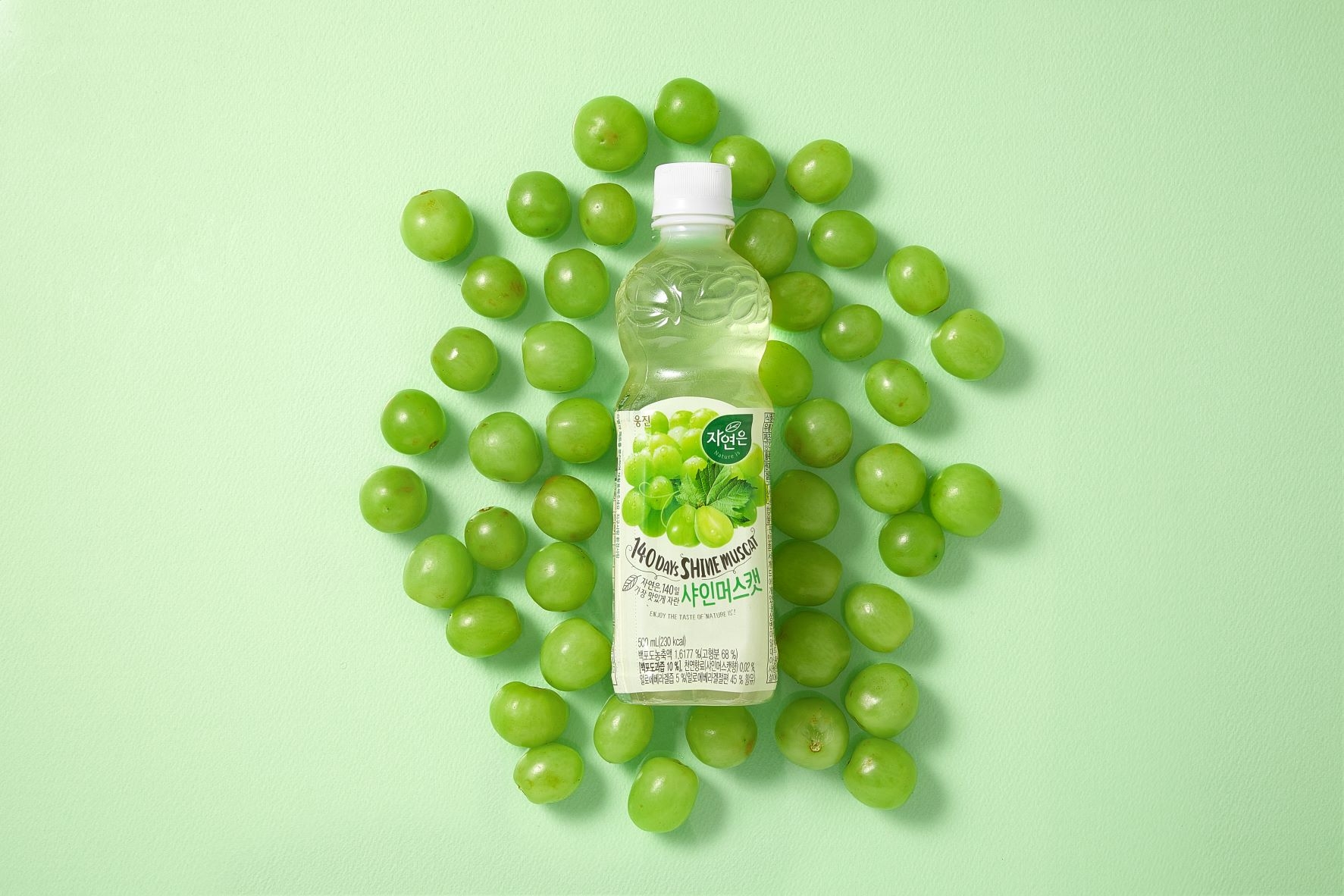웅진식품, '자연은 샤인머스캣' 작년 3월 출시 이후 600만 병 판매