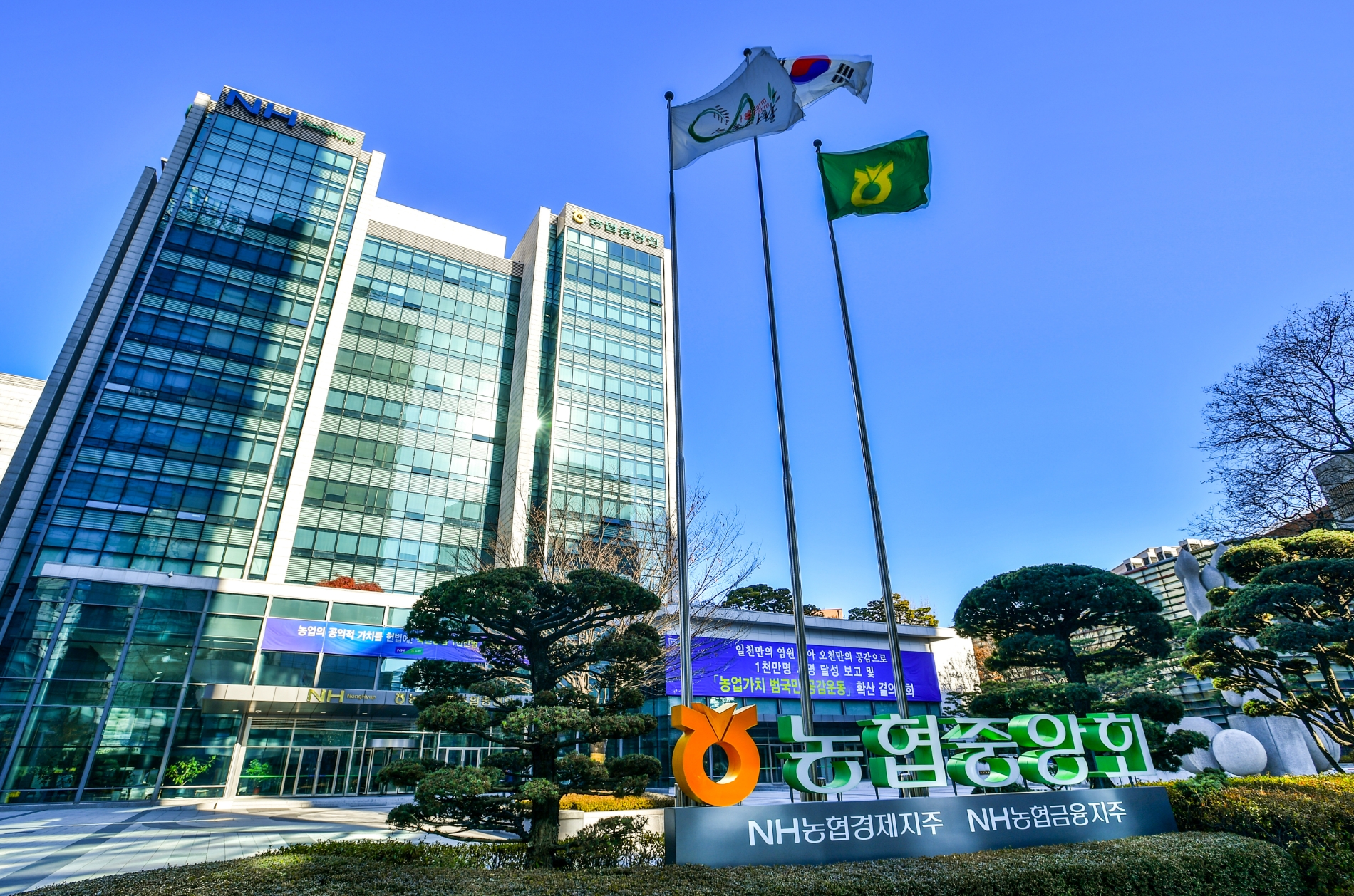 농협 축산경제, 상반기 소(牛) 근출혈 피해농가에 16억원 보상