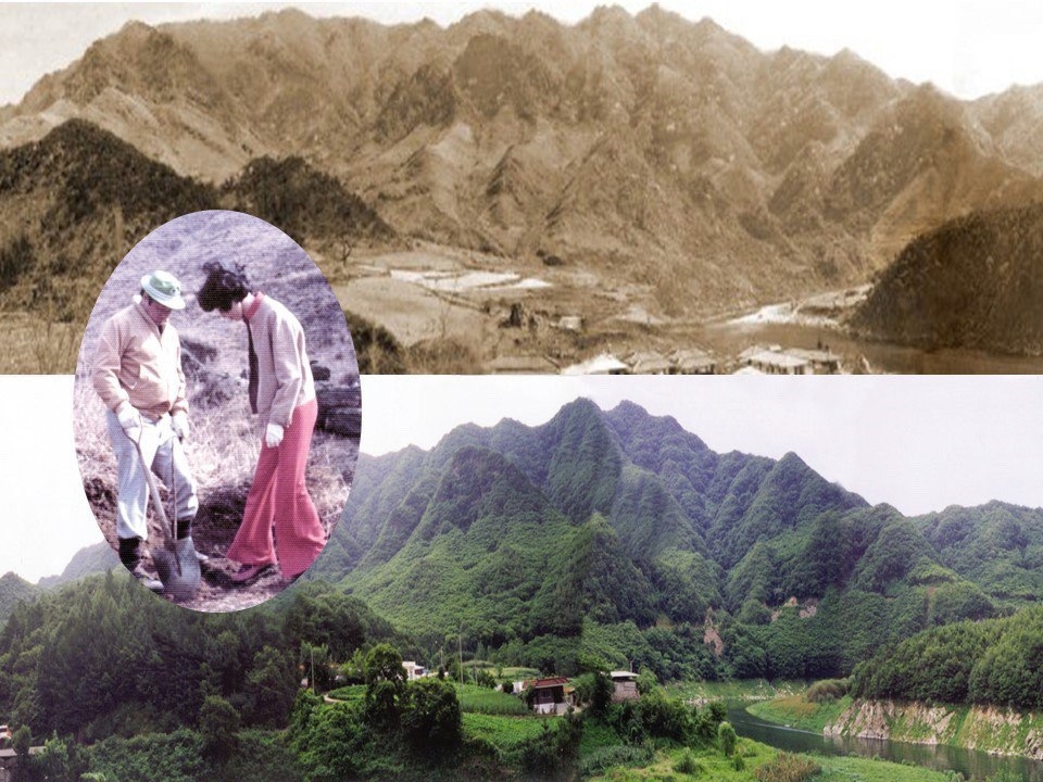 인등산 조림사업 전후 사진=SK