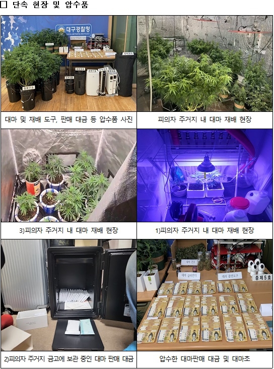 (제공=대구경찰청)