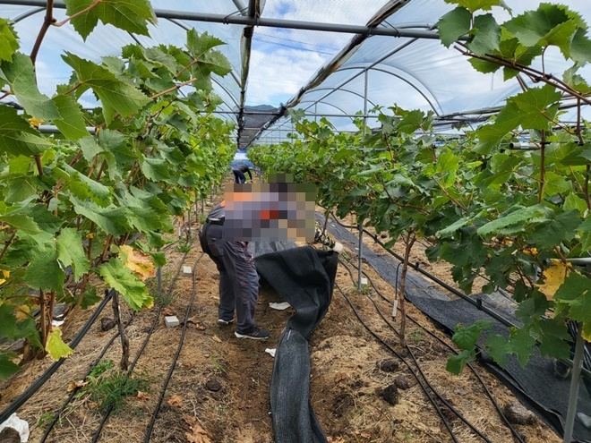 (사진제공=포항준법지원센터)