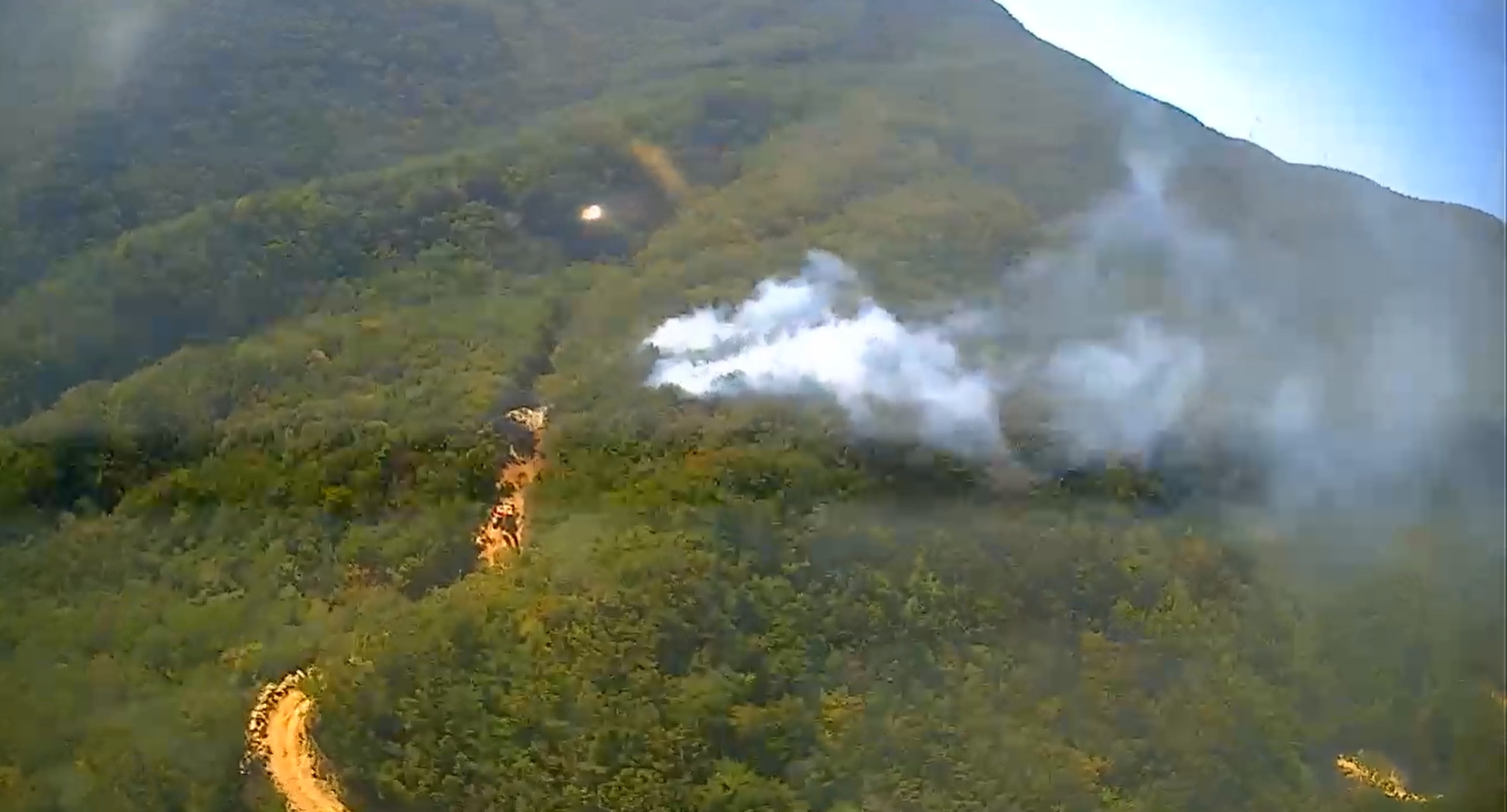 (사진제공=산림청)