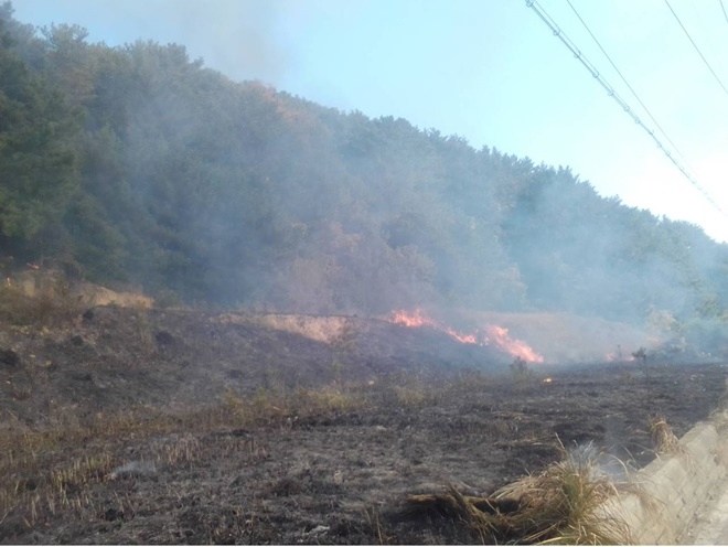 (사진제공=산림청)