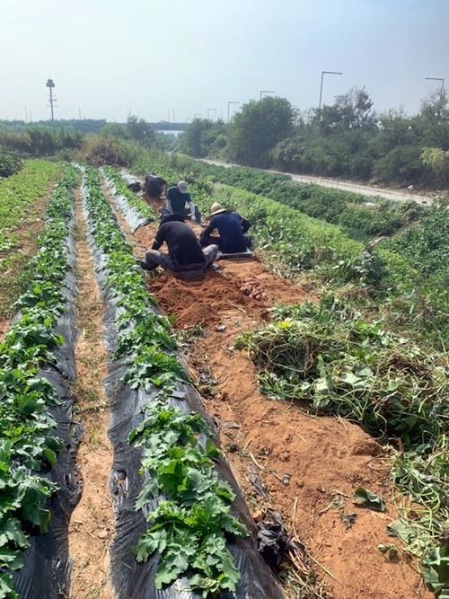 (사진제공=서울남부보호관찰소)