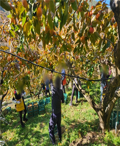 (사진제공=창원준법지원센터)