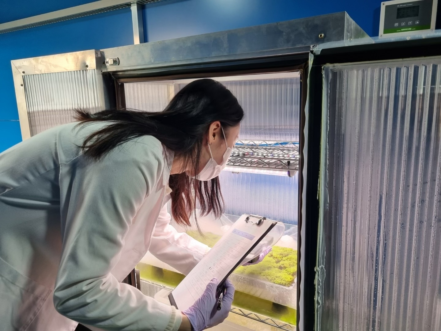 스마트팜 실험실에서 작물 상태를 확인하는 모습.(사진=롯데건설)