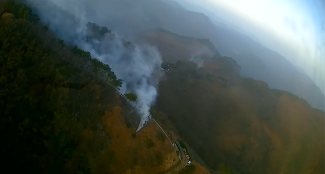 (사진제공=산림청)