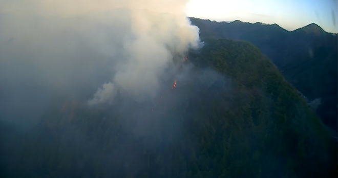 (사진제공=산림청)