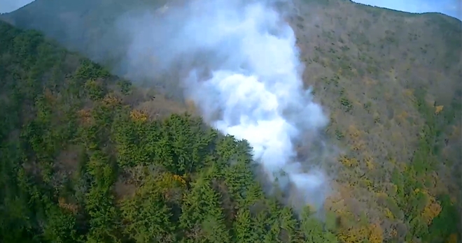 (사진제공=산림청)