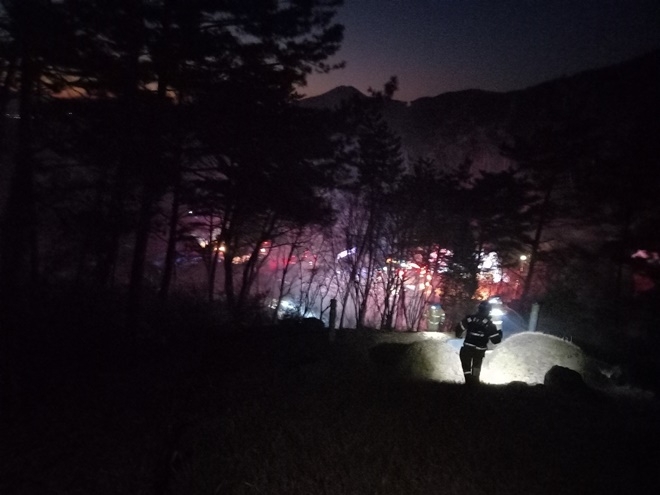 (사진제공=산림청)