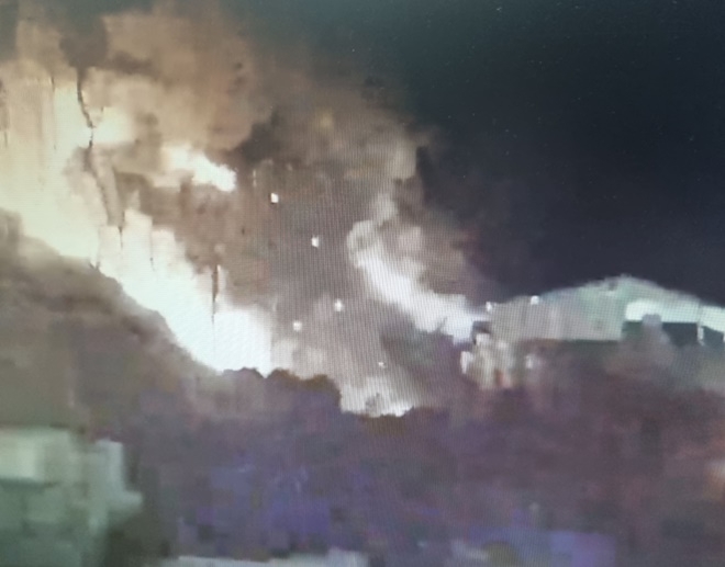 (사진제공=산림청)