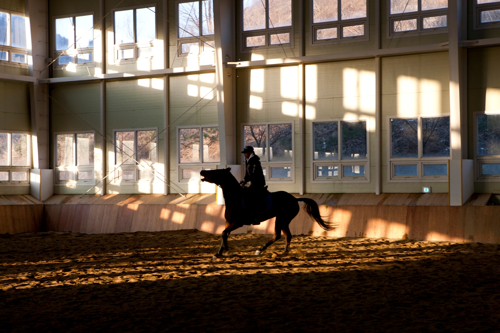 골든쌔들 승마클럽 전경. (사진=포도컴)