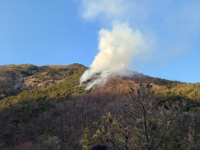 (사진제공=산림청)