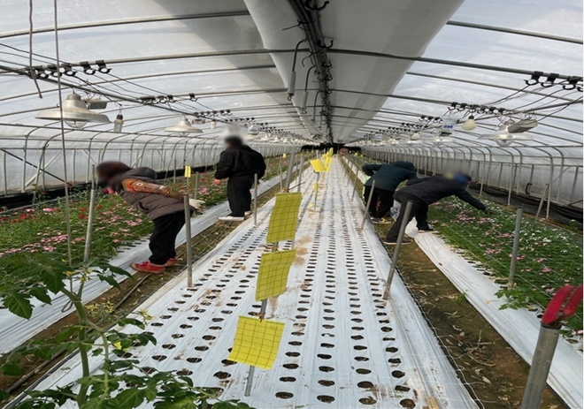 (사진제공=대구준법지원센터)