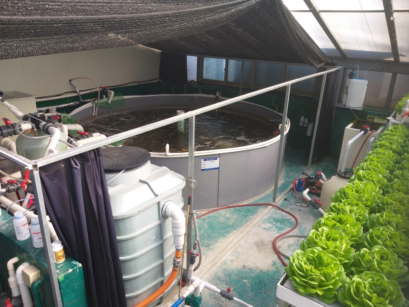 수산중심 아쿠아포닉스 DAS
