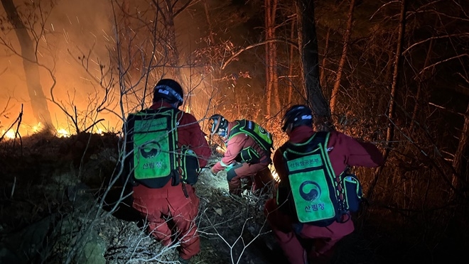 (사진제공=산림청)