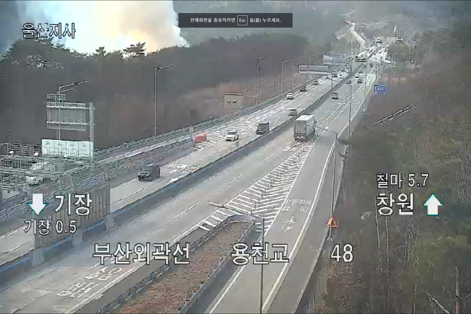 (제공=산림청)