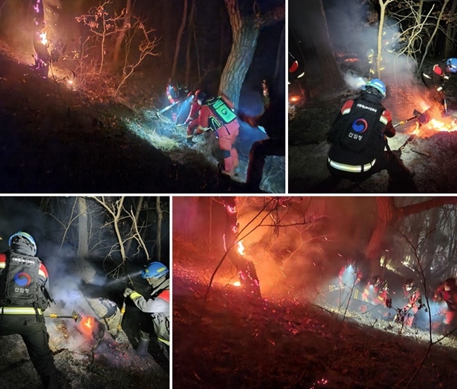 (사진제공=산림청)