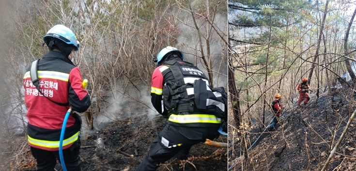 (사진제공=산림청)