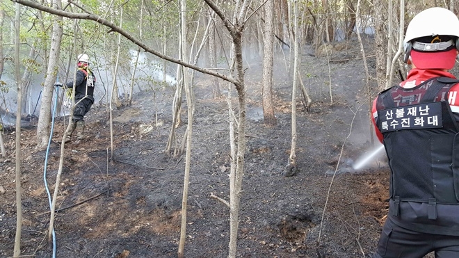 (사진제공=산림청)