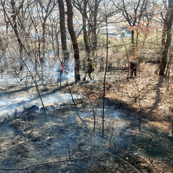(사진제공=산림청)