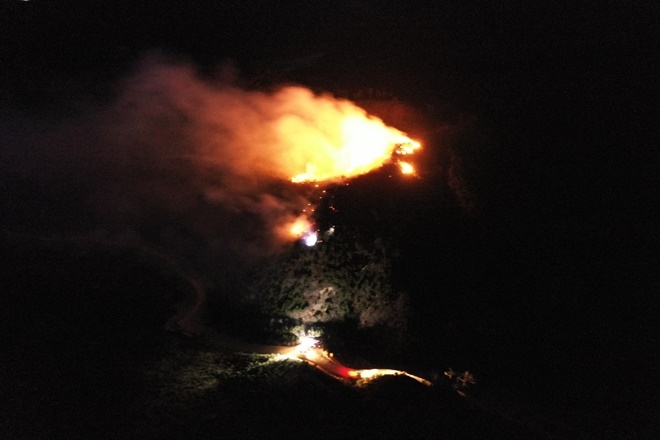 (사진제공=산림청)