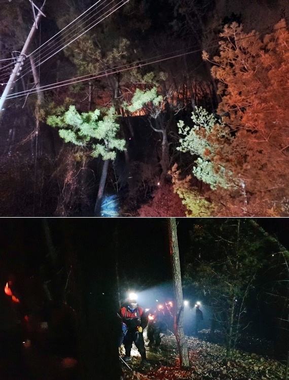 (사진제공=산림청)