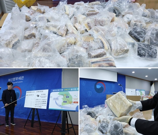 (사진제공=부산본부세관)