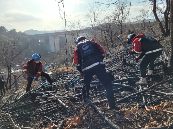 산불재난특수진화대 불쏘시게 정리.(제공=산림청)
