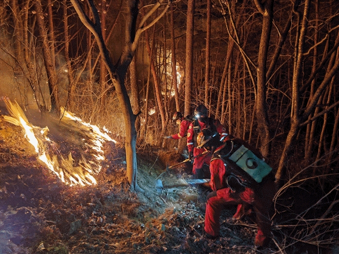 (사진제공=산림청)