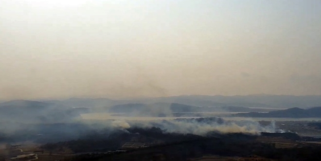 (사진제공=산림청)