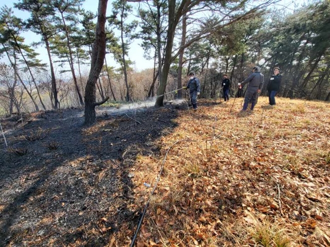 (사진제공=산림청)