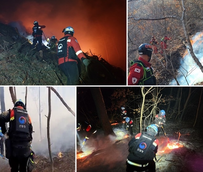 (사진제공=산림청)