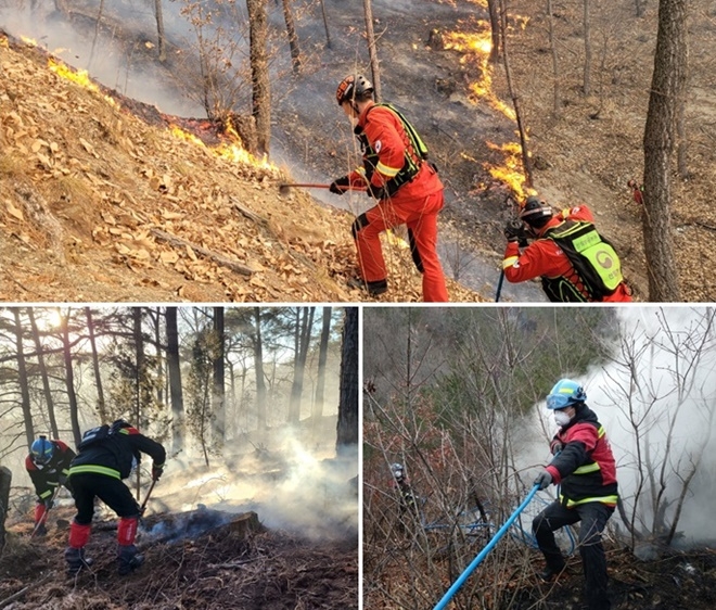 (사진제공=산림청)