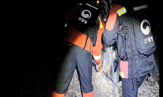 (사진제공=산림청)