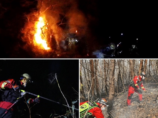 (사진제공=산림청)