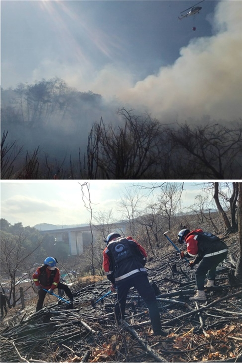 (사진제공=산림청)